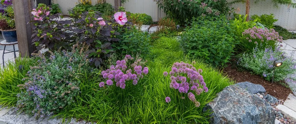 Rain garden in Wauwatosa, WI, with colorful flowers and lush plants.