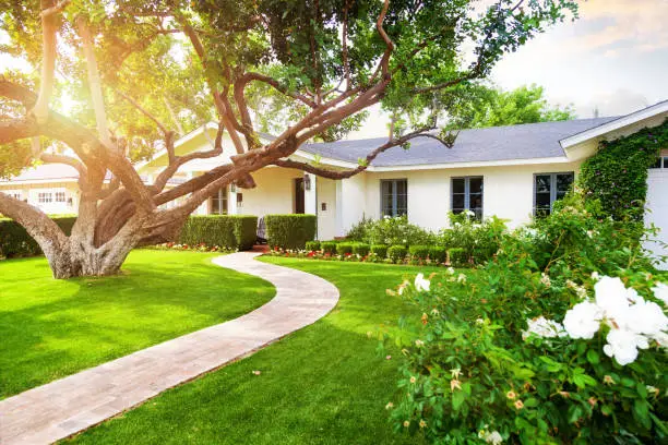 Low-Maintenance Front Yard Landscaping Ideas