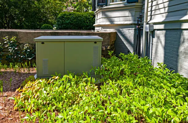 Creative Landscaping Ideas for Hiding Utility Boxes