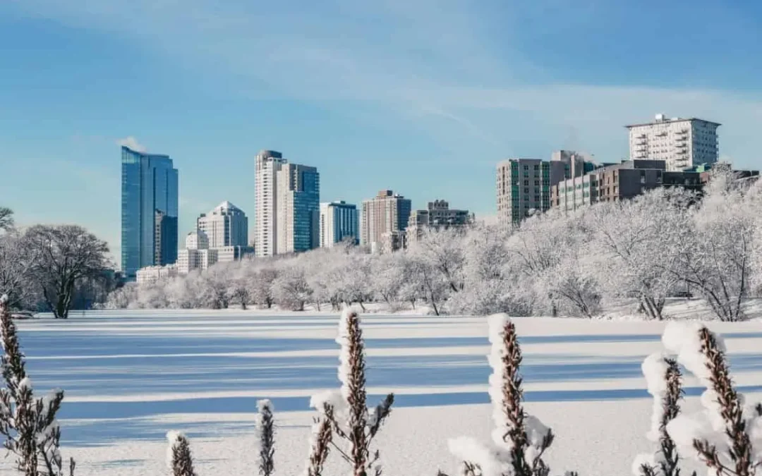 Will Heavy Snow In Milwaukee Kill My Plants?