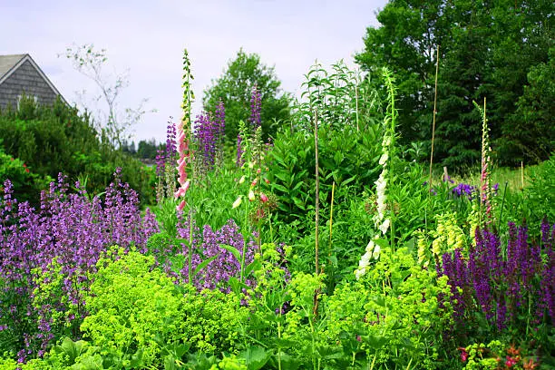 The Best Plants For Milwaukee Landscapes