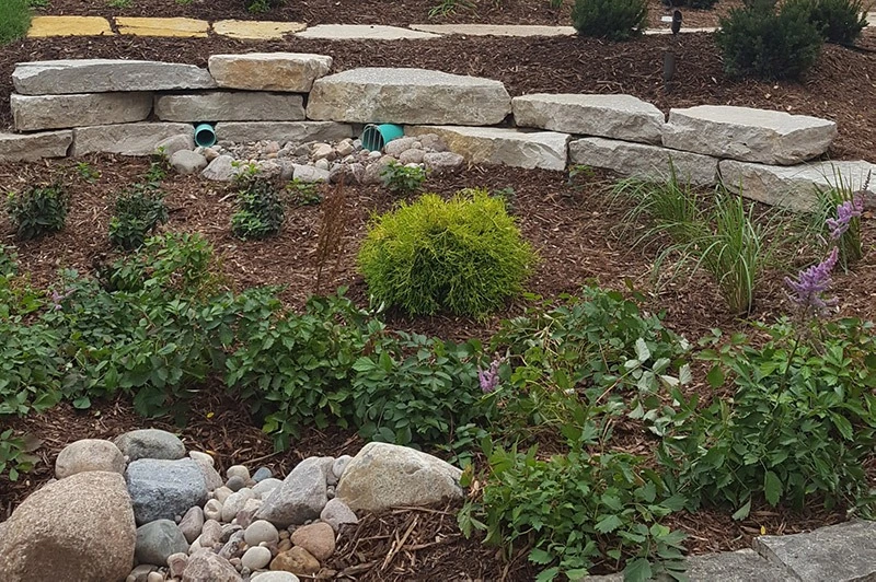 The Benefits Of Having A Rain Garden