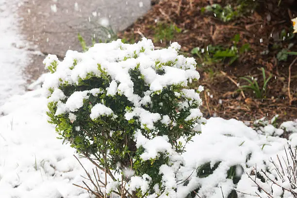 Milwaukee Winter Landscaping Tips