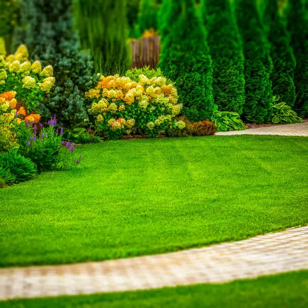 Summer Landscaping Cleanup Checklist