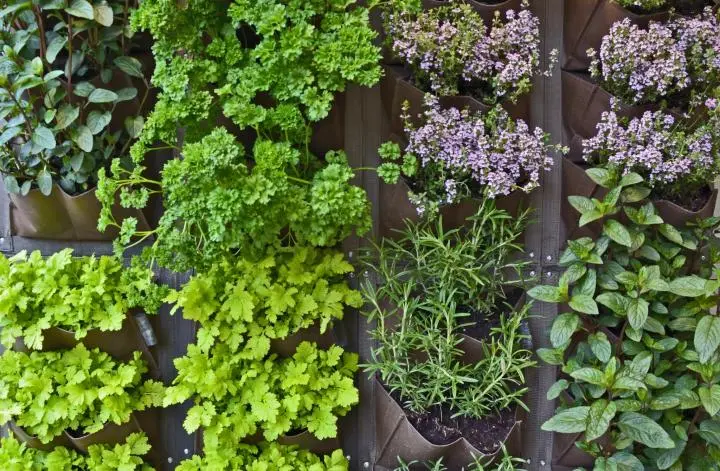 Top 6 Outdoor Trends For Spring Landscaping