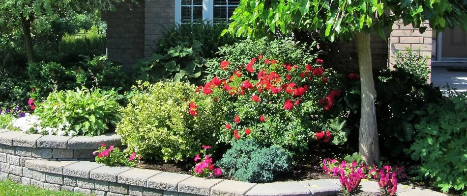 Landscape in Milwaukee, WI, with colorful plants and green shrubs.