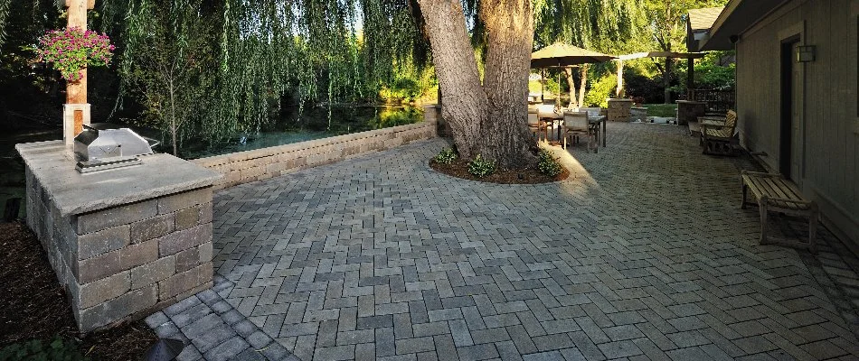 A rain garden in Wauwatosa, WI, with a large tree and a wall.
