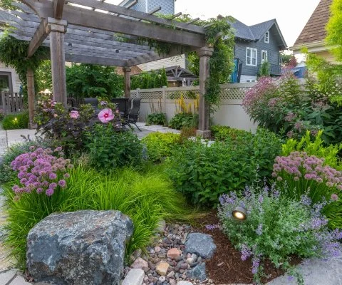 Green plants and pink flowers near a wooden pergola in Wauwatosa, WI.