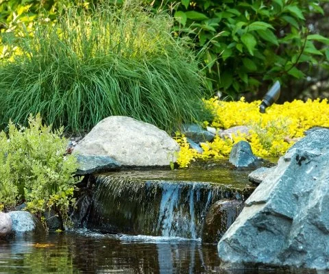 Waterfall with rocks and green plants in Wauwatosa, WI.