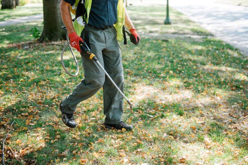 Organic Mosquito & Tick Control service