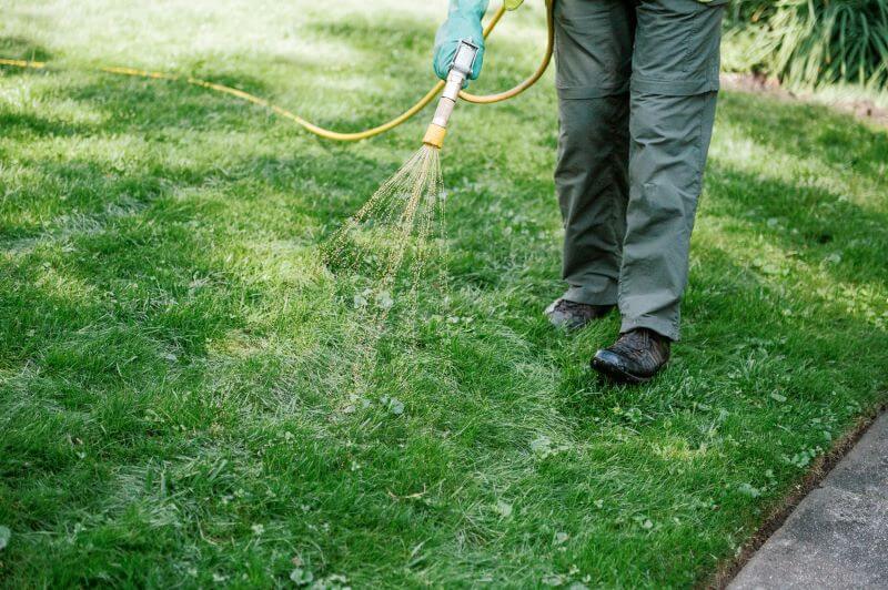 Organic Mosquito & Tick Control