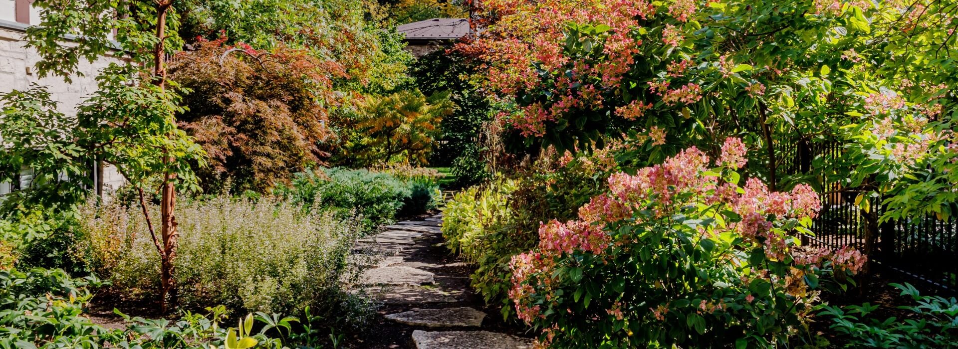 Landscape Design Services service