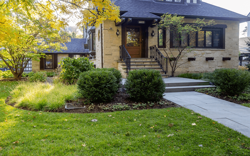 Professional Mowing service