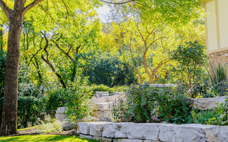 Planting & Garden Installation results