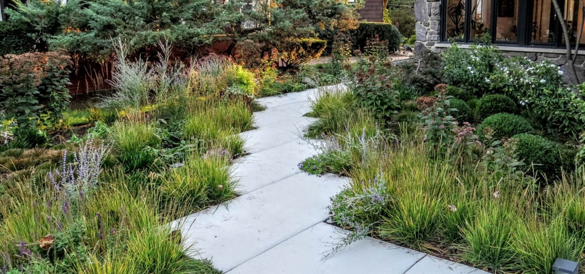 Front yard rejuvenation