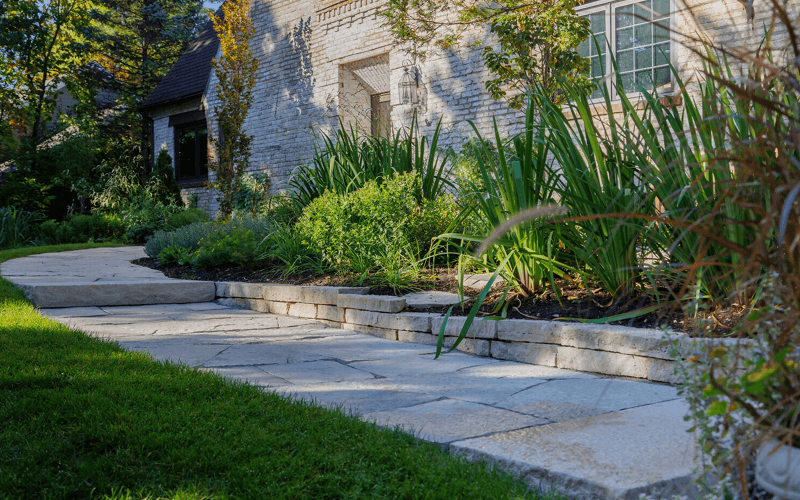 Pathway through plantings