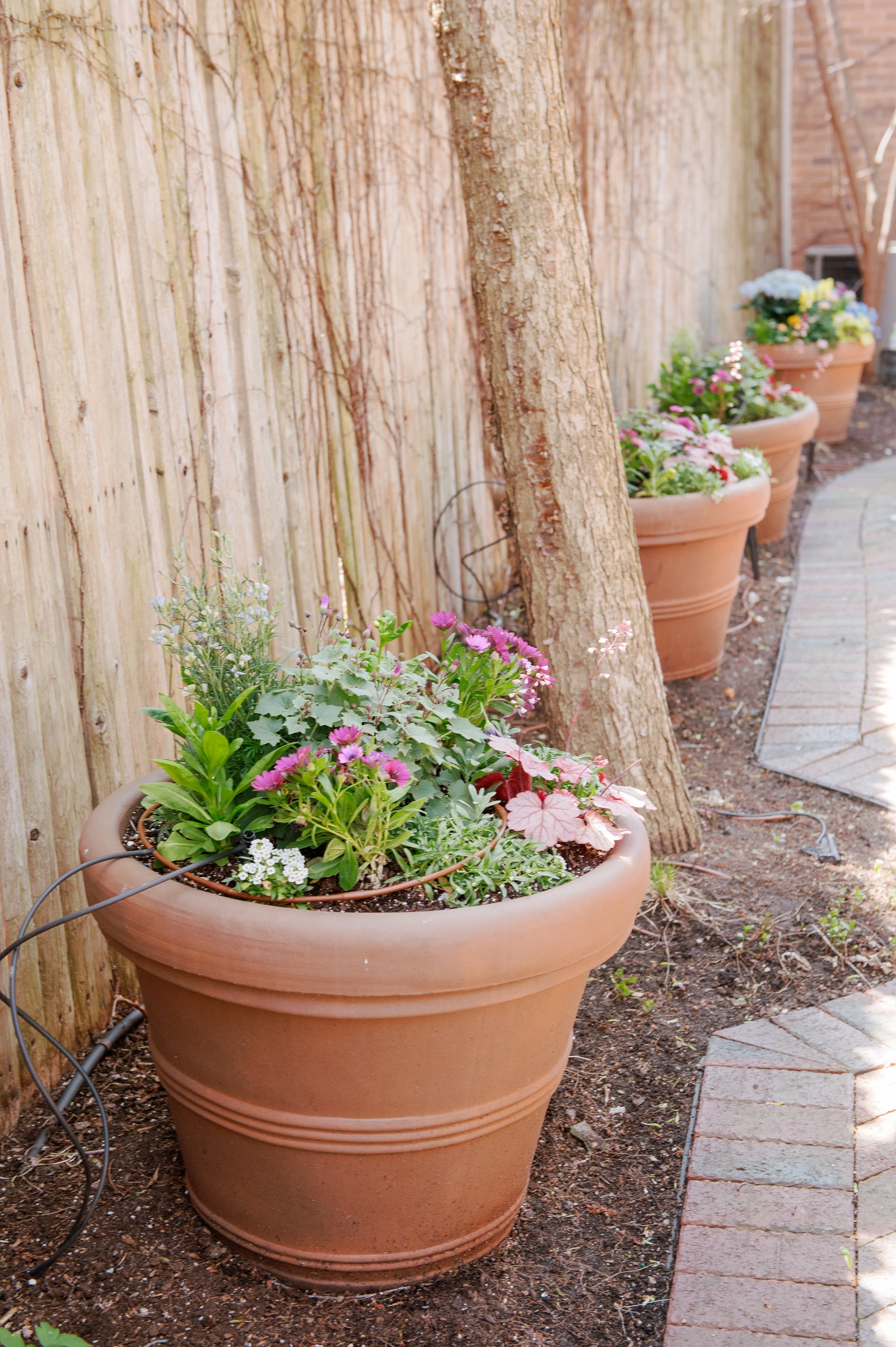 Seasonal Flower Rotations service