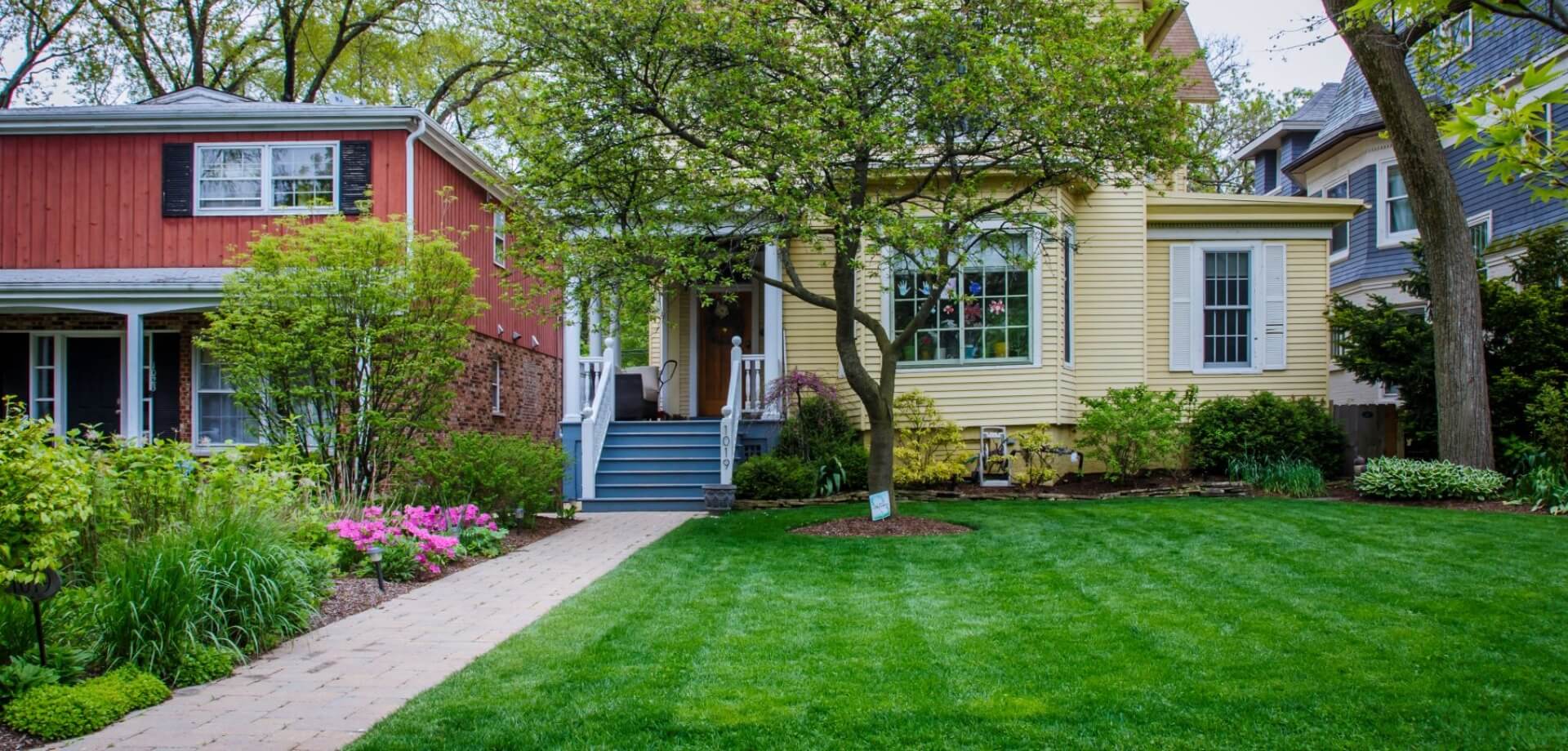 Healthy organic lawn in Chicago