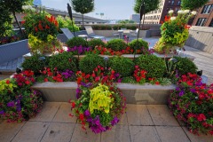 Roof deck with potted color