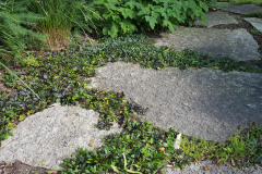 18-New-Berlin-Flagstone-Steppers-with-Plants