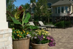 Potted plants on outdoor patio