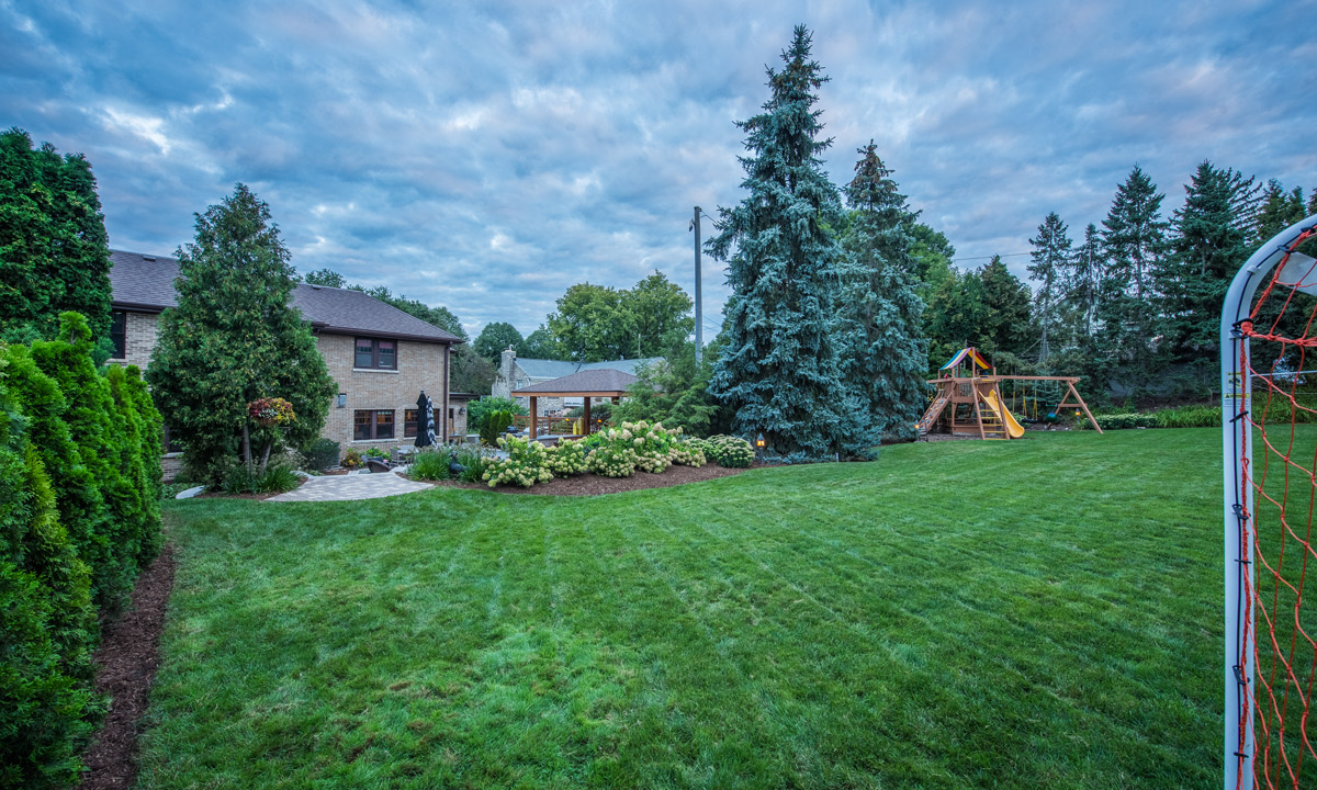 Landscape Care: A green and lush lawn