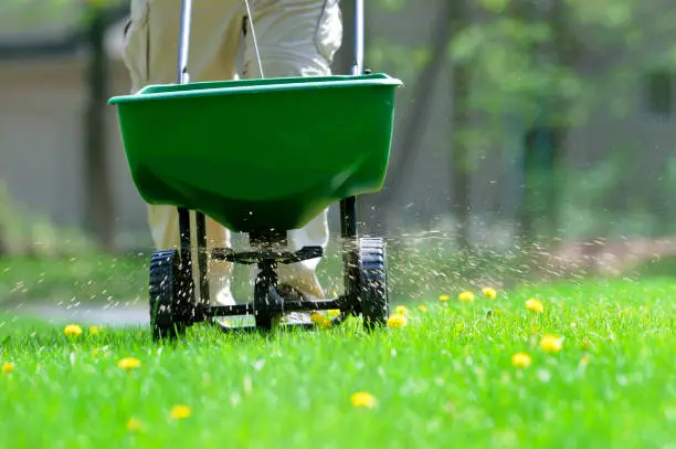 seasonal landscaping maintenance