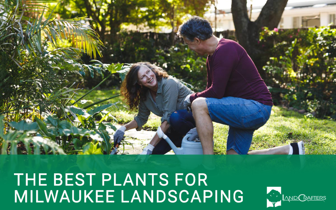 The Best Plants For Milwaukee Landscaping Blog Cover