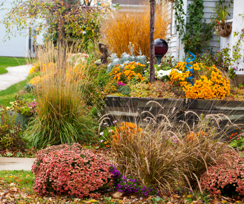 Easy Fall Landscaping Ideas For Your Milwaukee Home- planting ideas